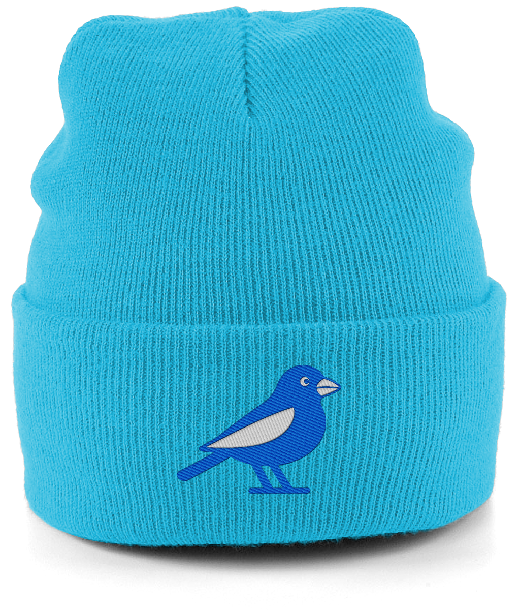Cardiff Bluebird embroidered Cardiff City beanie in Surf Blue, Legends in Thread