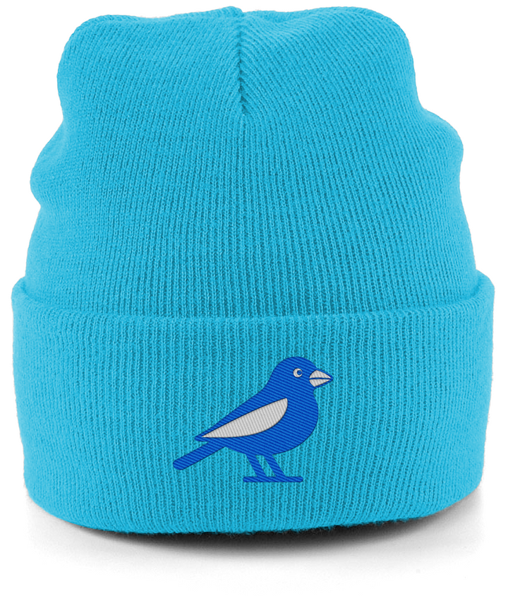 Cardiff Bluebird embroidered Cardiff City beanie in Surf Blue, Legends in Thread