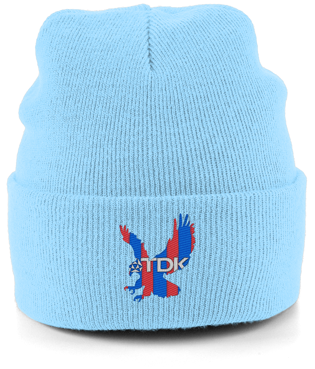 TDK Eagle embroidered Crystal Palace beanie in Sky, Legends in Thread